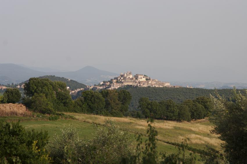 Agriturismo Collepina 아멜리아 외부 사진