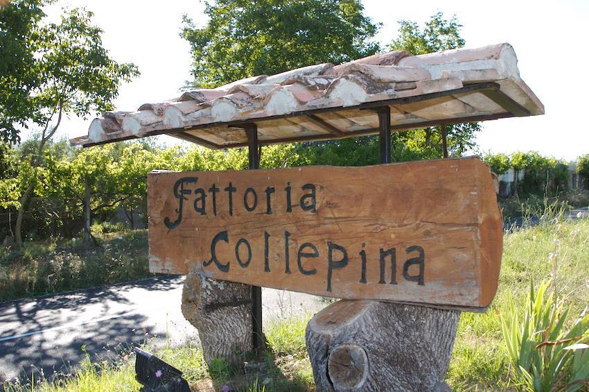 Agriturismo Collepina 아멜리아 외부 사진