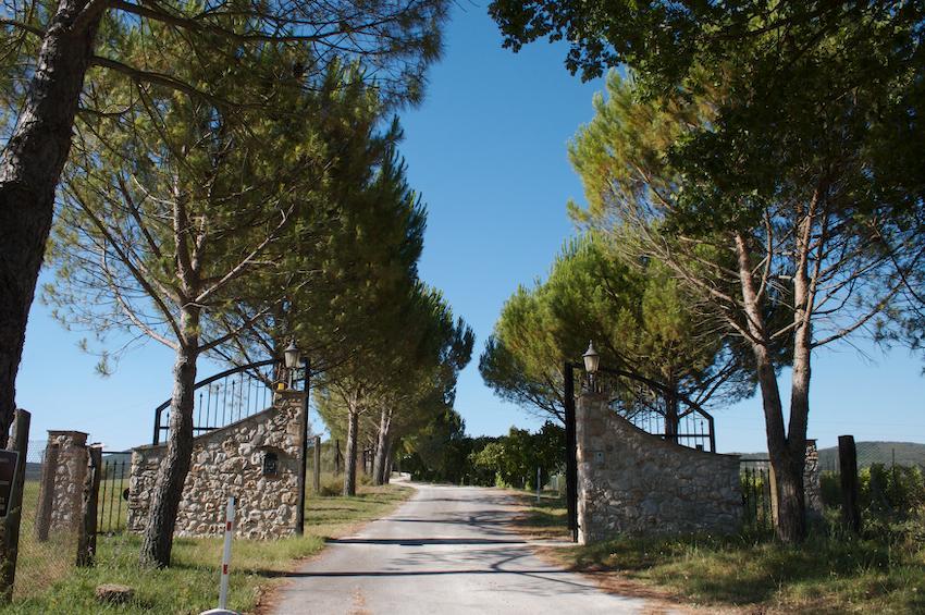 Agriturismo Collepina 아멜리아 외부 사진