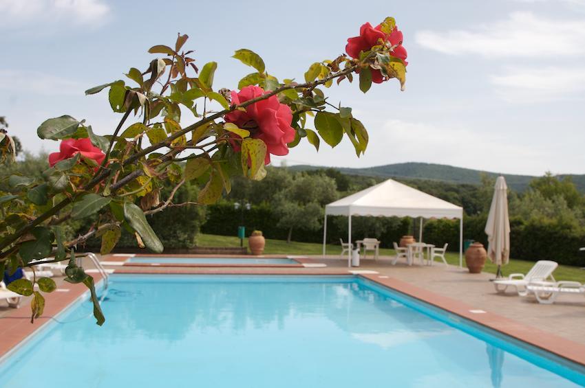 Agriturismo Collepina 아멜리아 외부 사진