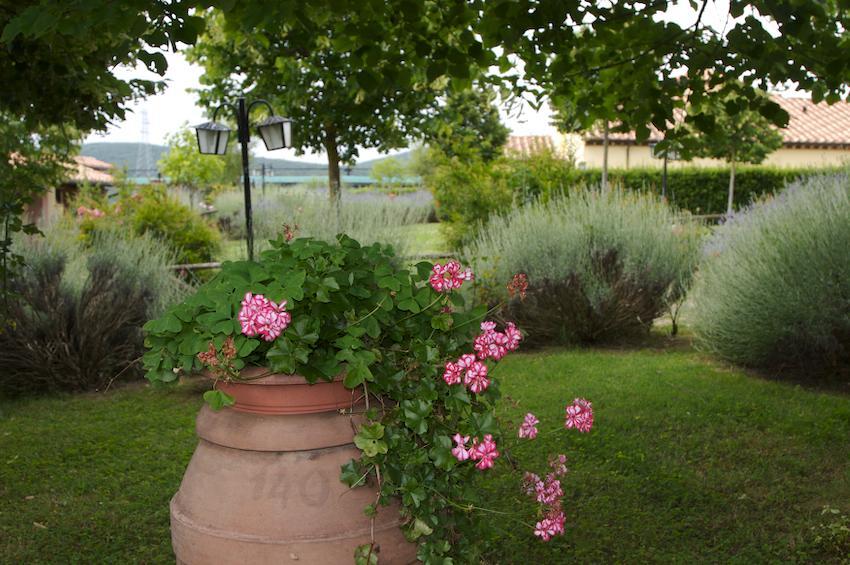 Agriturismo Collepina 아멜리아 외부 사진