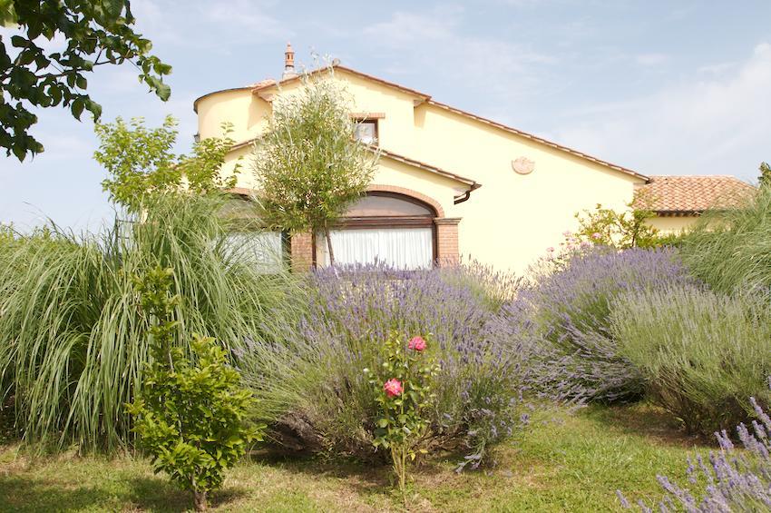 Agriturismo Collepina 아멜리아 외부 사진